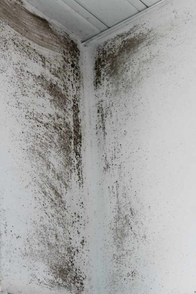 Sarasota Luxury Bathroom Remodels Waterproofing & Mold Remediation