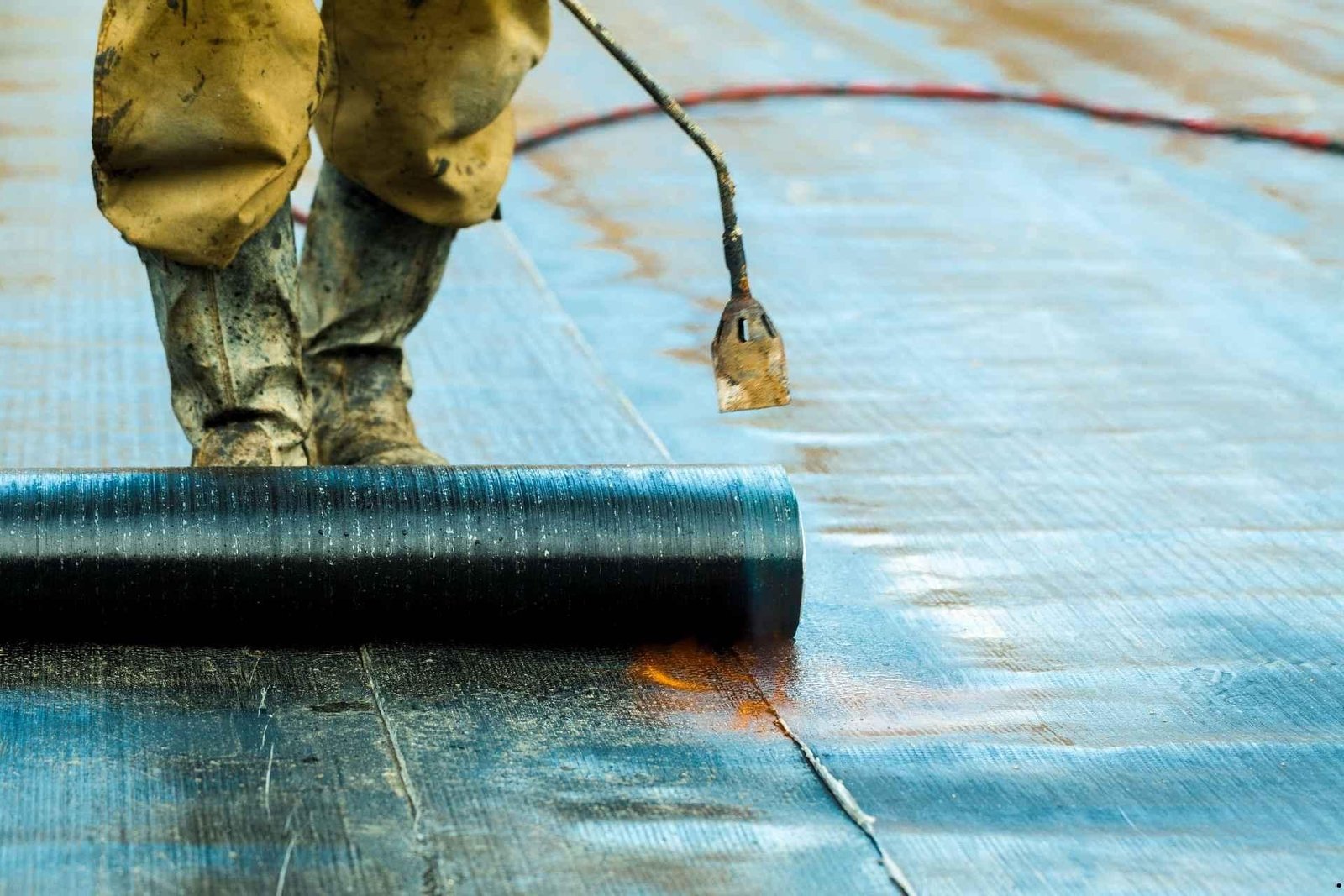 Waterproofing & Mold Remediation in Bathroom in Luxury Bathroom Sarasota